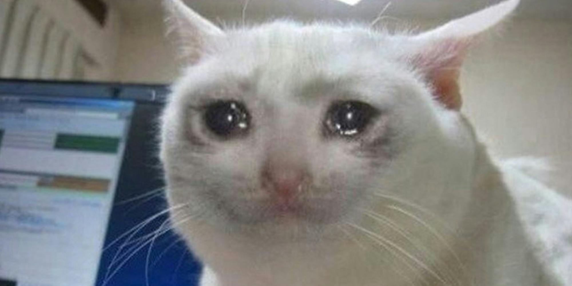 TestTest TestTest TestTest TestTest TestTest TestTest TestTest TestTest TestTest TestTest TestTest TestTest TestTest TestTest TestTest 